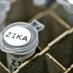 Scientists Use Zika Virus to Kill Cancer Cells in Brain