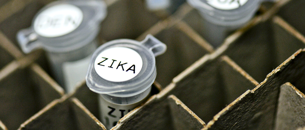 Scientists Use Zika Virus to Kill Cancer Cells in Brain