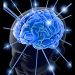 New Study Explains How Humans Grow Bigger Brains