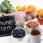 The Role of Nutritional Foods in Immune Function