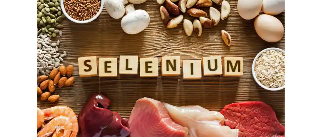 Selenium Can Increase the Lifespan and Protect Against Obesity