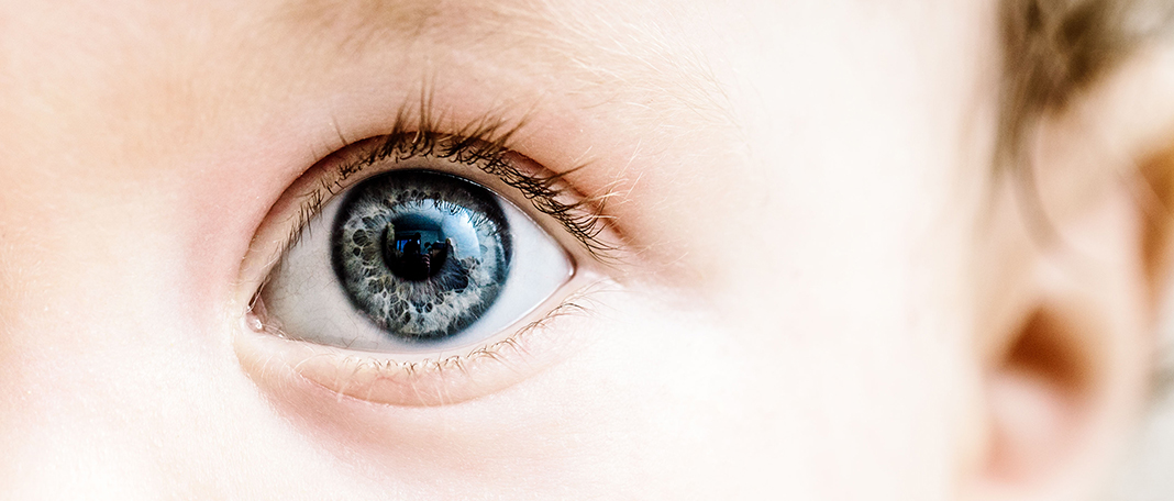 A New Study Identified 50 New Eye Color Genes