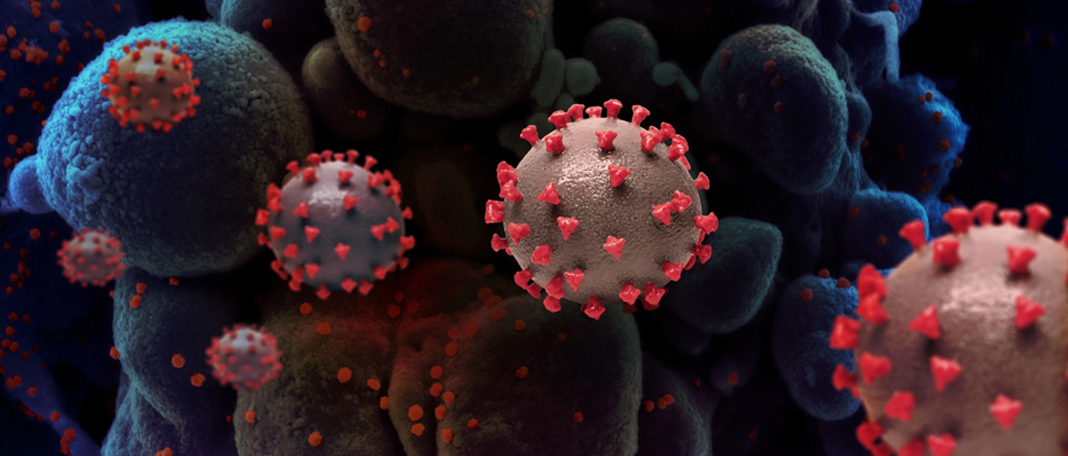 Researchers Call for More Further Inquiry into COVID-19 Origin