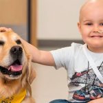 Pet Therapy for Cancer Patients: Risk and Benefits