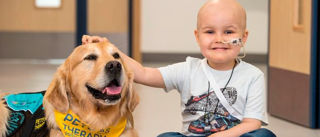 Pet Therapy for Cancer Patients: Risk and Benefits