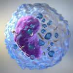 What Is the Role of NK Cells in the Immune System?