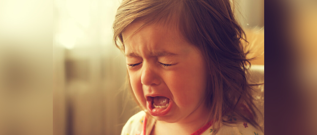 Do Gut Microbiome Shape How Babies Feel for Fear?