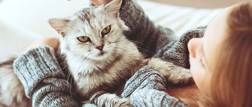 Woman Suffers from Cowpox Infection after Petting Her Cat
