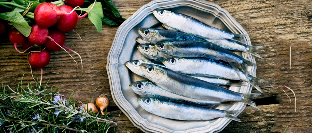 A Sardine Diet Can Keep Type 2 Diabetes Away