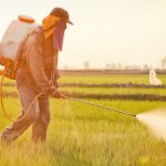 No Evidence Proves Glyphosate as Carcinogenic