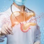 Liver Plays Vital Role in Fighting Type 2 Diabetes