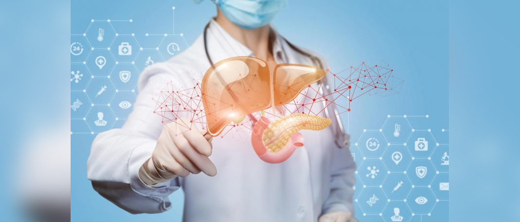 Liver Plays Vital Role in Fighting Type 2 Diabetes