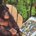 Chimpanzees Exhibit Healthy Aging Than Humans