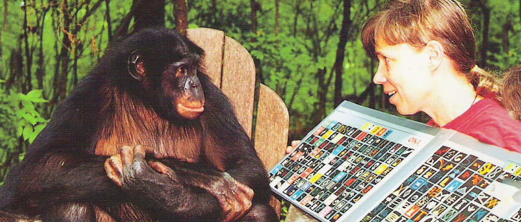 Chimpanzees Exhibit Healthy Aging Than Humans
