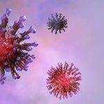 Can COVID-19 Mutate More Deadlier If It Spreads From Pets?