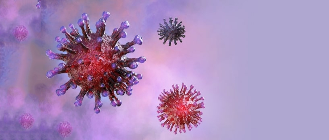Can COVID-19 Mutate More Deadlier If It Spreads From Pets?