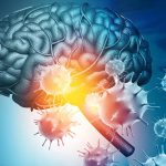 How does COVID-19 Cause Brain Inflammation?