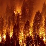 West Coast Wildfires Increases the Risk of COVID-19