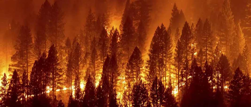 West Coast Wildfires Increases the Risk of COVID-19