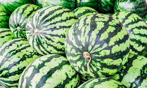 Fresh whole watermelons and sliced watermelon pieces