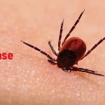 Lyme Disease Heightens the Risk of Suicidal Thoughts and Mental Illness