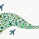 New Plant-Based Jet Fuel Can Reduce Carbon Emission by 68%