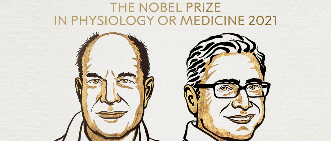 Noble Prize Winners Unlock a Century-Old Mystery!