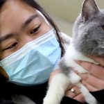 Should You Euthanize a COVID-Infected Animal?