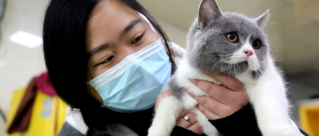 Should You Euthanize a COVID-Infected Animal?