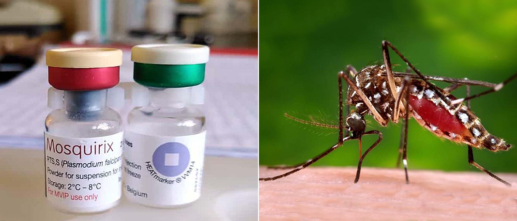 WHO Approved Mosquirix Malaria Vaccine!