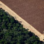 Brazil’s Amazon Deforestation Climbed to 22%