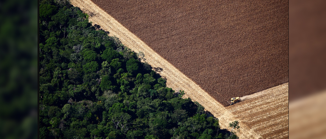 Brazil’s Amazon Deforestation Climbed to 22%