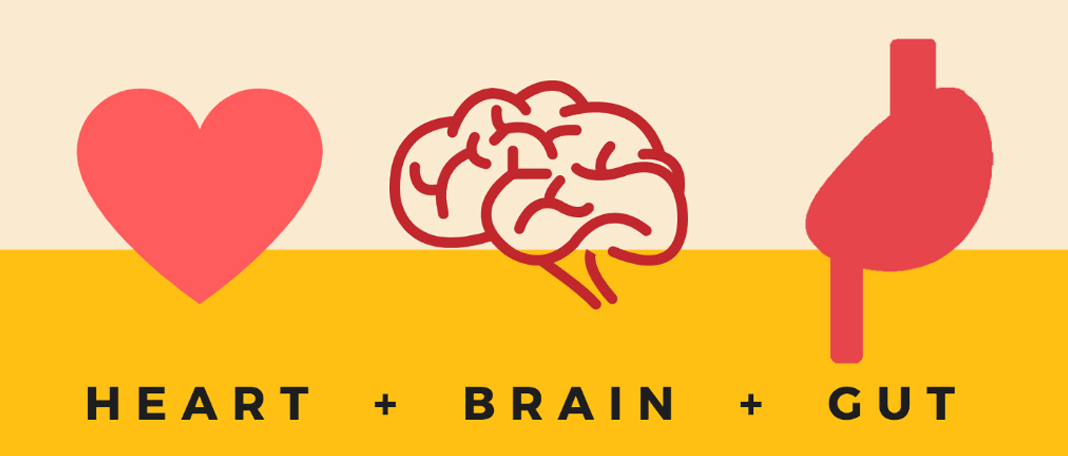 Gut and Heart Signals Contribute to Negative Body Image!