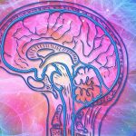 Is an Older-Looking Brain Associated with Lower Birth Weight and Genes?