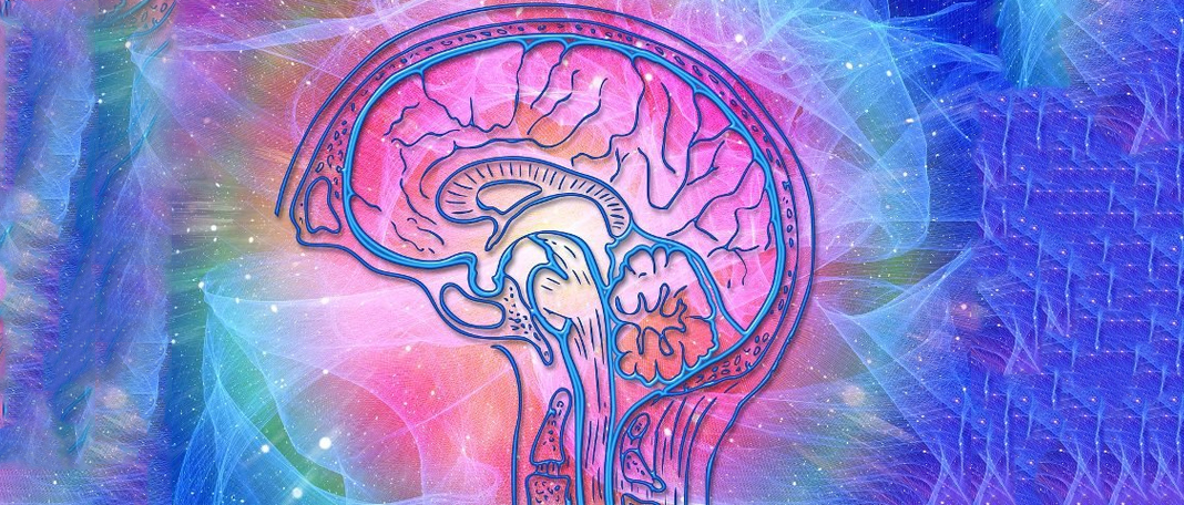 Is an Older-Looking Brain Associated with Lower Birth Weight and Genes?