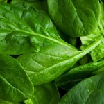 Spinach and Cancer: The Anticancer Effects You Never Heard Before