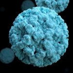 What Is Norovirus & What Are the First Symptoms of Norovirus?