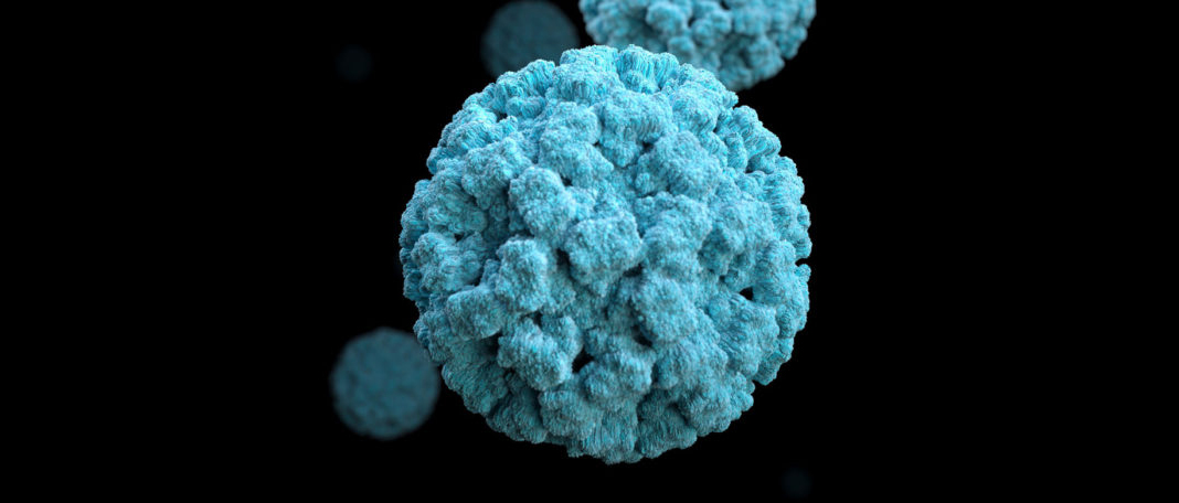 What Is Norovirus & What Are the First Symptoms of Norovirus?