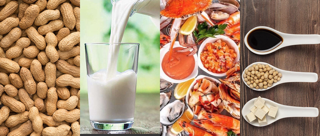 10 Common Food Allergies and 5 Treatments
