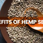 Health Benefits of Hemp Seeds You Must Know