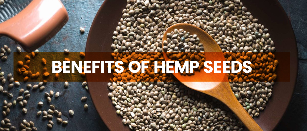 Health Benefits of Hemp Seeds You Must Know