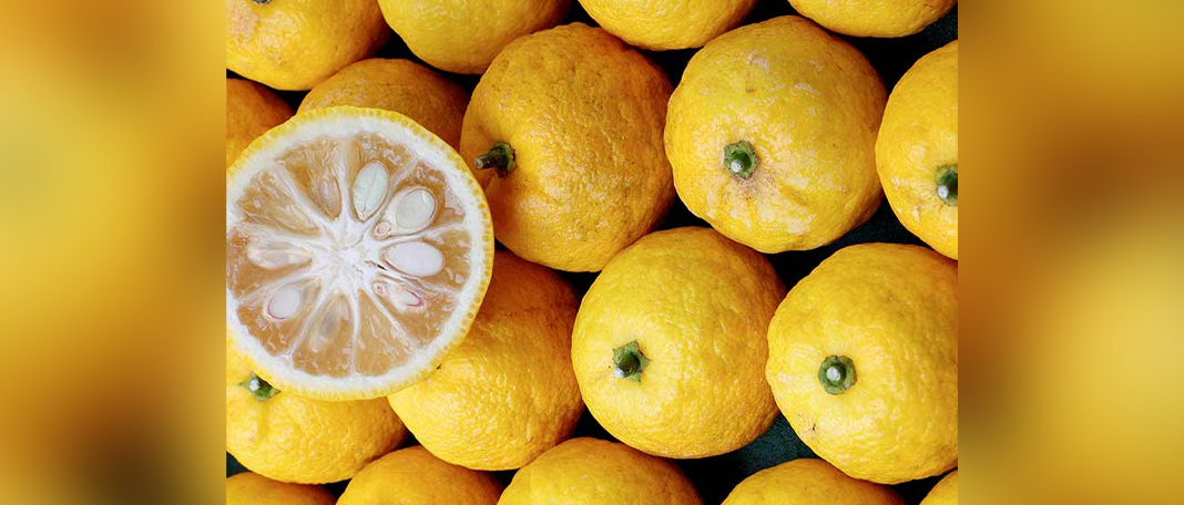 Must-Know Surprising Benefits of Yuzu Fruit