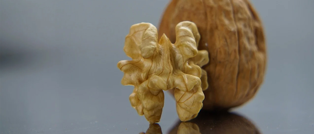 These 7 Walnut Benefits Will Baffle You!