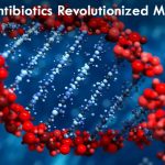 How Antibiotics Revolutionized Medicine in 4 Ways?