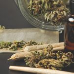 Myths and Facts About Medical Marijuana