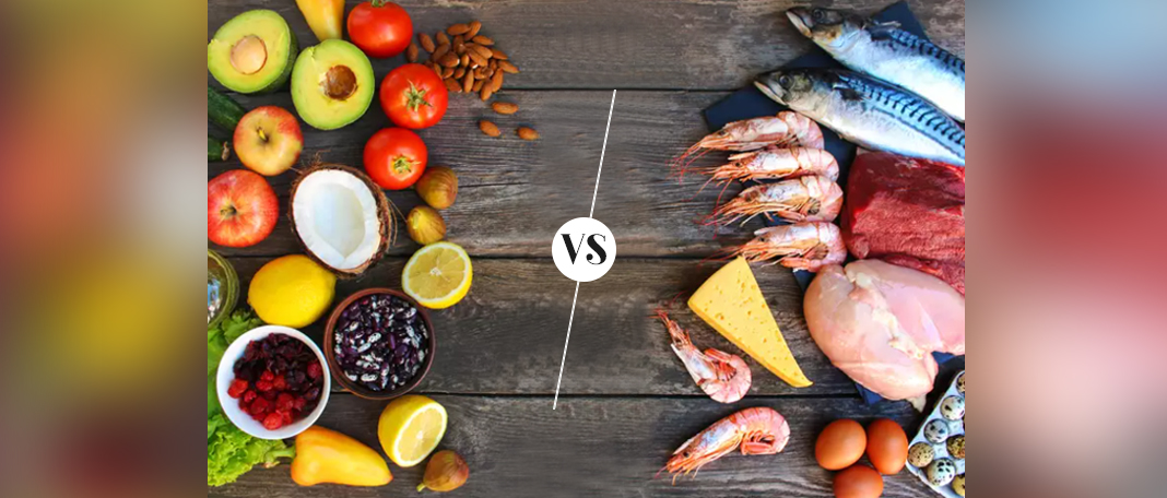 Animal Protein vs Plant Protein. Are They the Same?