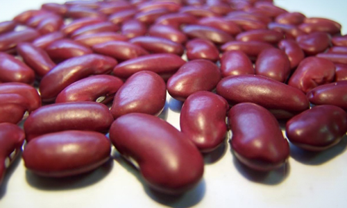 Kidney Beans