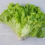 Lettuce Health Benefits You Didn’t Know You Were Missing