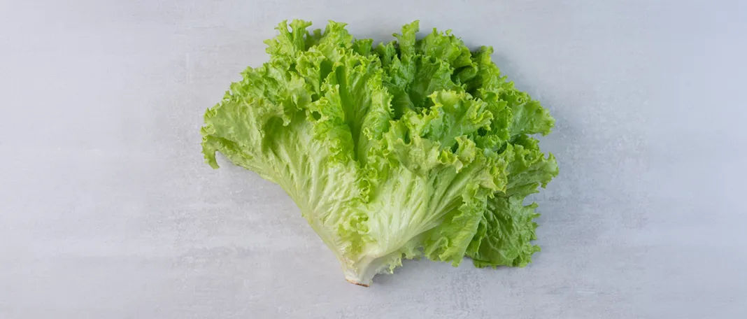 Lettuce Health Benefits You Didn’t Know You Were Missing