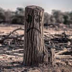How can Climate Change lead to Anxiety among Humans?